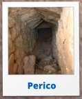 Perico