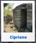 Cipriano