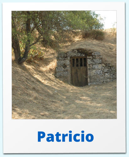 Patricio