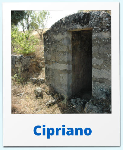 Cipriano