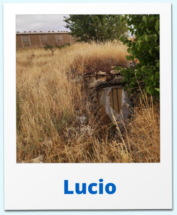 Lucio