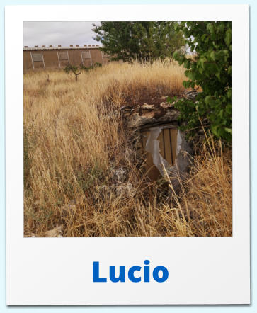 Lucio