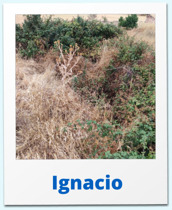Ignacio