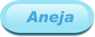 Aneja