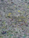 DSC02726.jpg (60943 bytes)