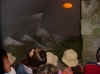 DSC03756.jpg (31264 bytes)