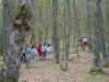 DSC04322.jpg (79527 bytes)