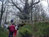 DSC04324.jpg (81255 bytes)