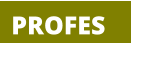 PROFES