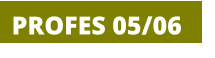 PROFES 05/06
