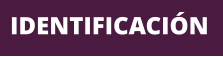 IDENTIFICACIÓN