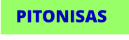 PITONISAS