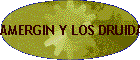 AMERGIN Y LOS DRUIDAS