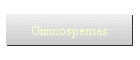 Gimnospernas