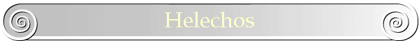 Helechos