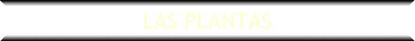 LAS PLANTAS
