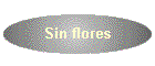 Sin flores