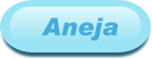 Aneja